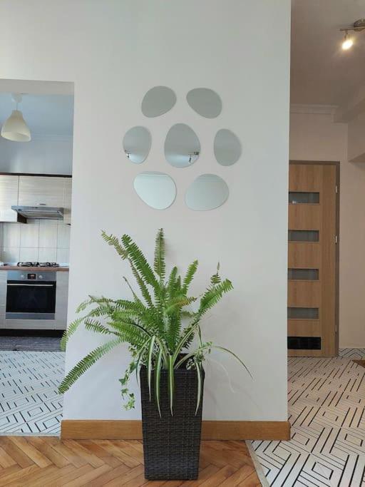 Domin Domin Apartment Czestochowa Ngoại thất bức ảnh
